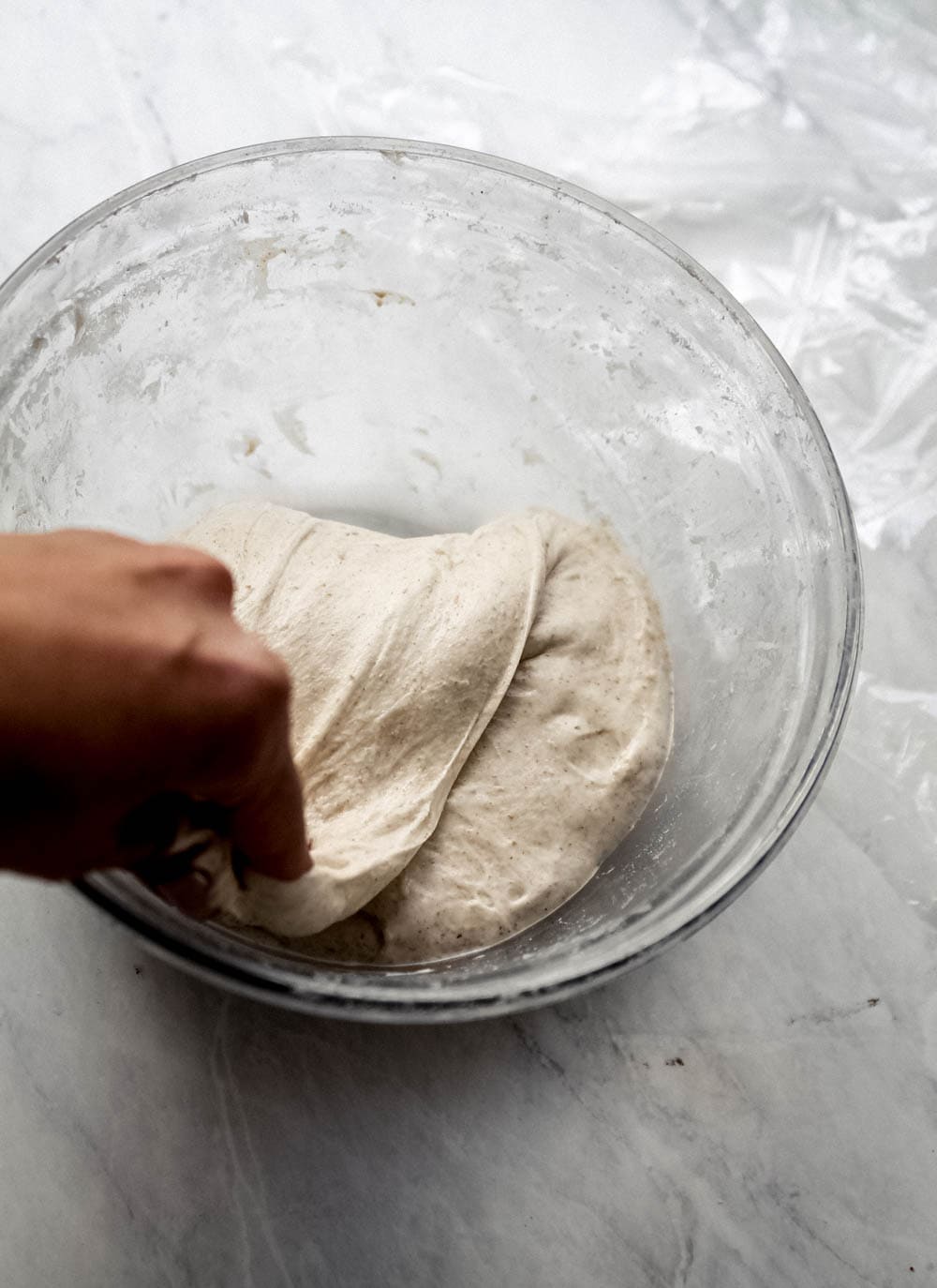 Sourdough Baguettes - Lion's Bread