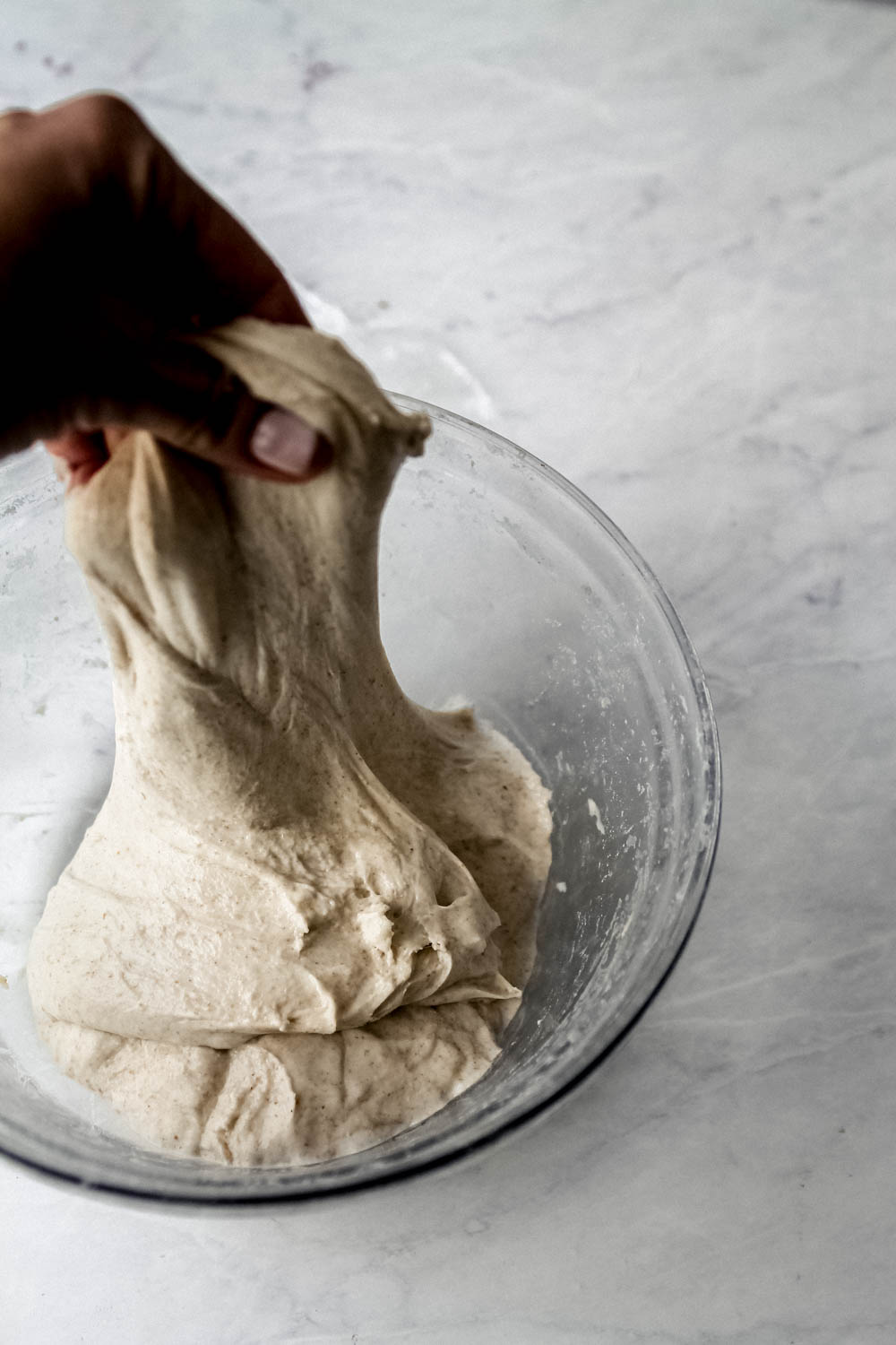 Sourdough Baguettes - Lion's Bread